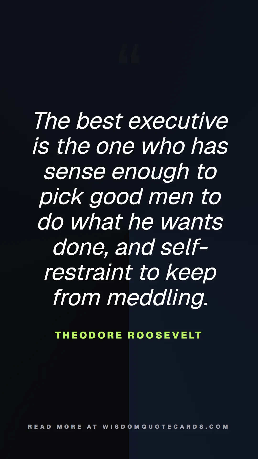 Quote by Theodore Roosevelt about chaos, manager, moms: The best executive is the one who has sense enough...