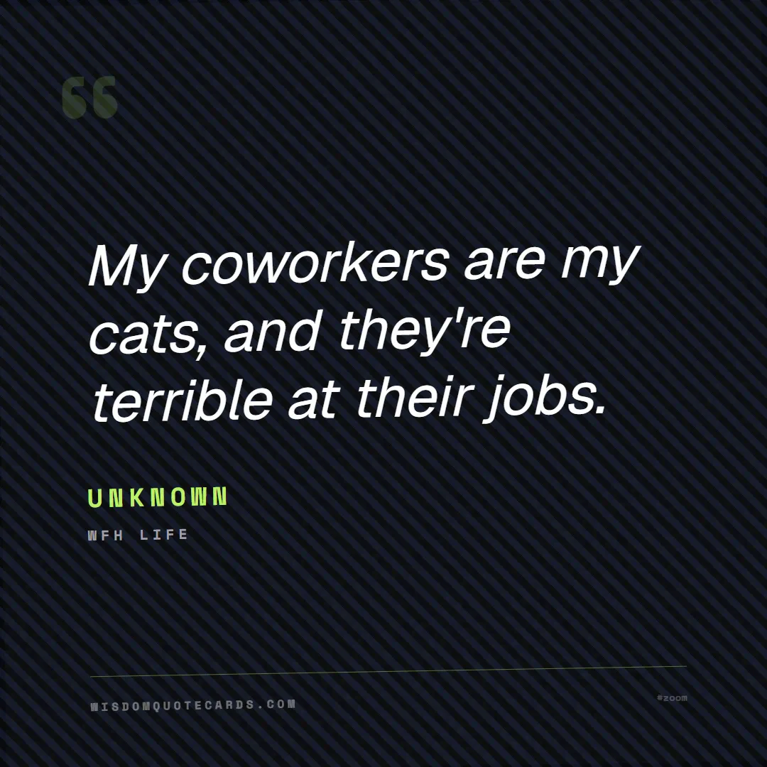 Quote by Unknown about zoom, remote life, funny: My coworkers are my cats, and they're terrible at ...