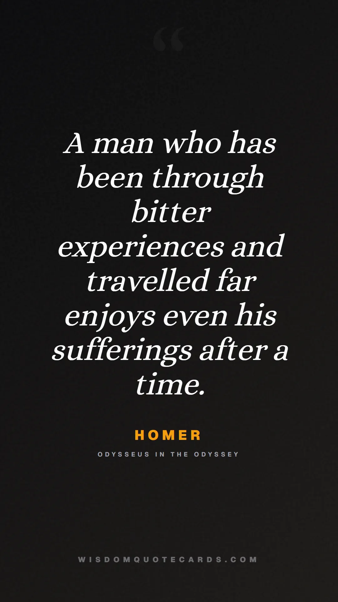 Quote by Homer about iliad, glory, legacy: A man who has been through bitter experiences and ...