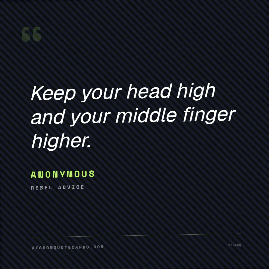 Quote by Anonymous about sassy, main character, selfie: Keep your head high and your middle finger higher....