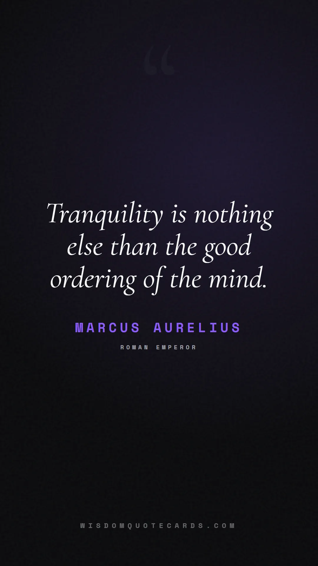 Quote by Marcus Aurelius about social media, anxiety, digital detox: Tranquility is nothing else than the good ordering...