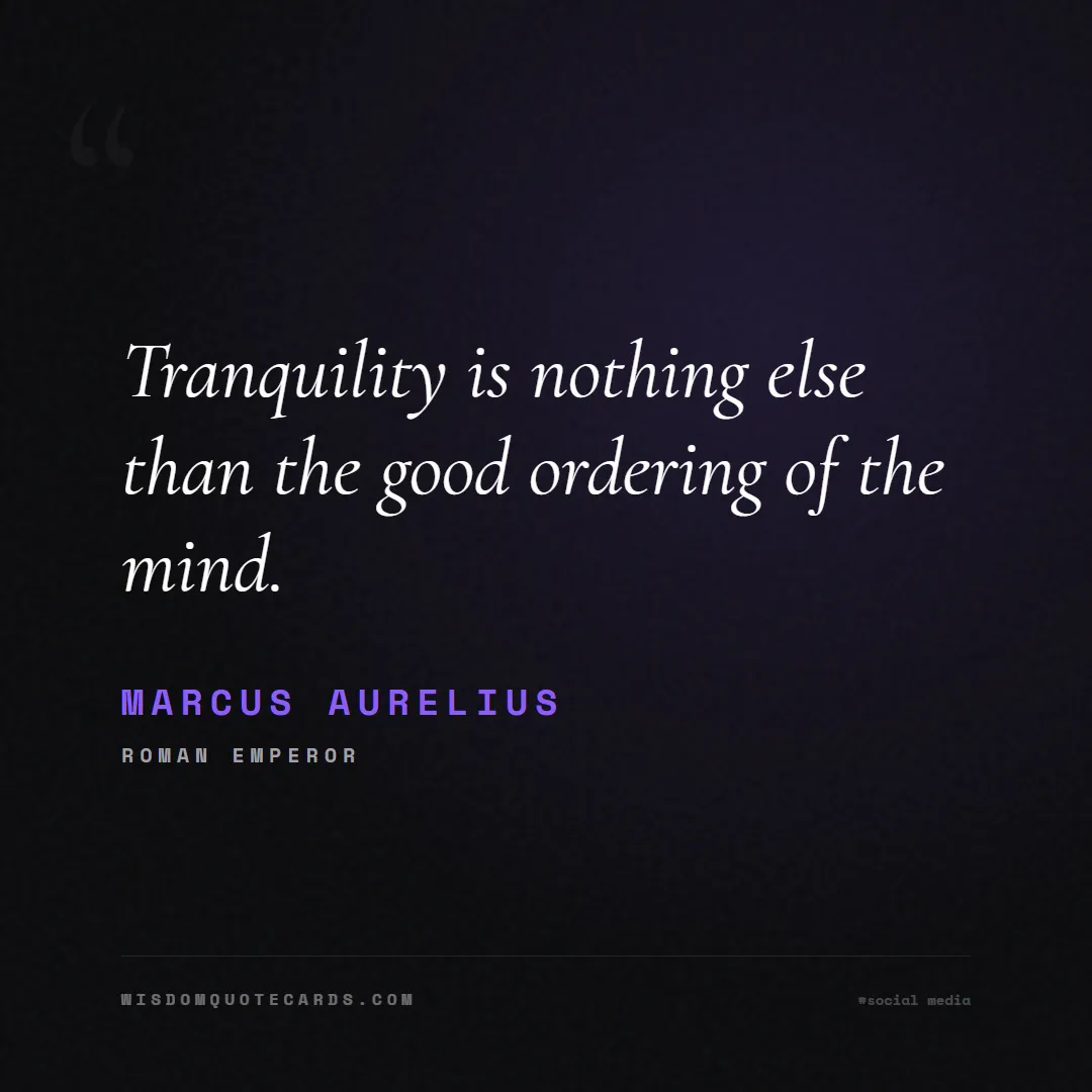 Quote by Marcus Aurelius about social media, anxiety, digital detox: Tranquility is nothing else than the good ordering...