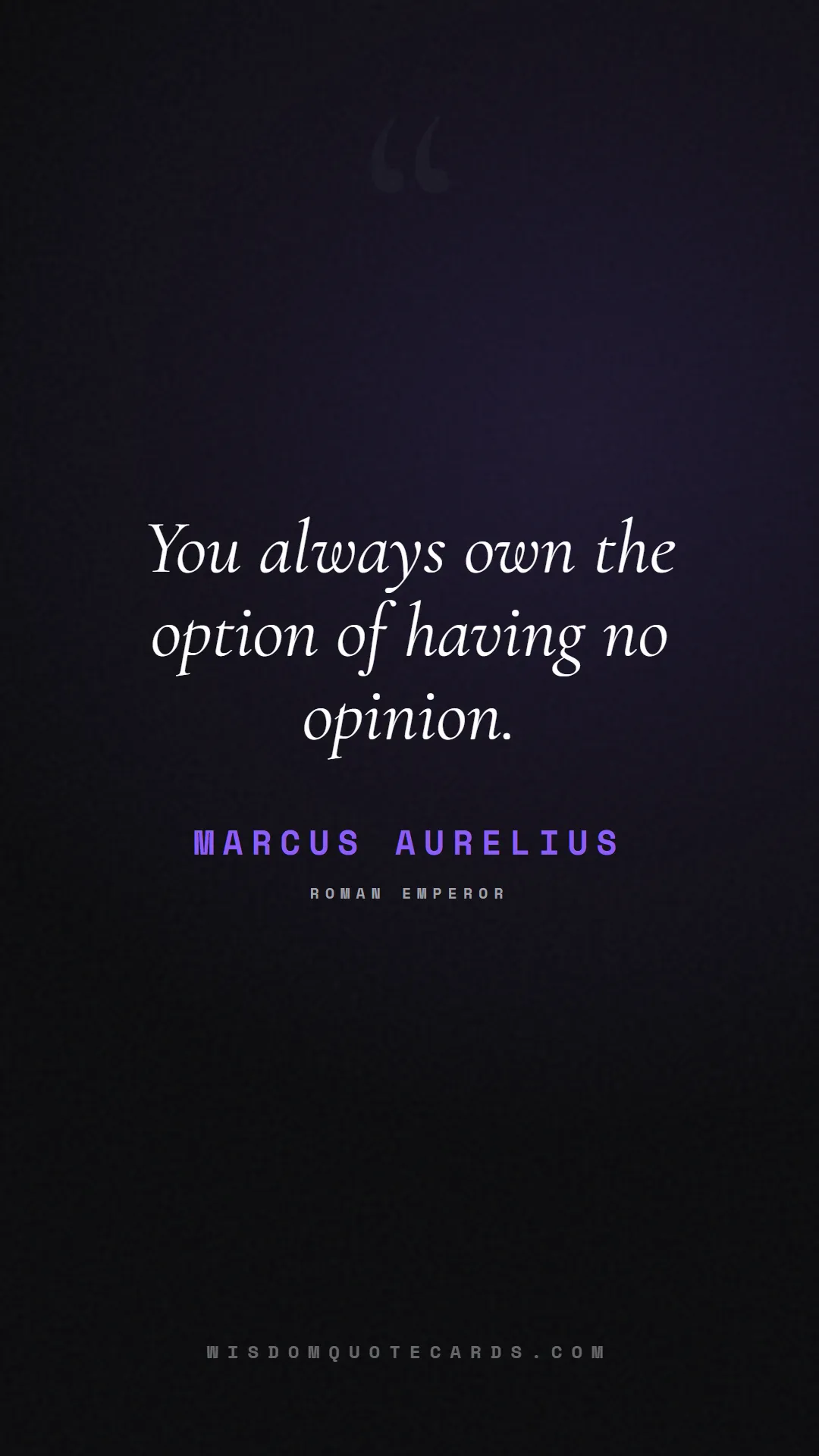 Quote by Marcus Aurelius about social media, anxiety, digital detox: You always own the option of having no opinion....